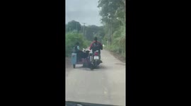 Mother sends her child to school with puppies in motorcycle sidecar