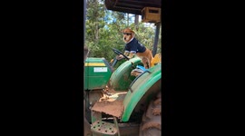 A Single Dog, Who Works Real Hard