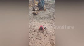 Little boy buried up to the neck in mud is rescued at last minute by excavator