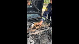 Firemen shows how to remove a python from a car engine