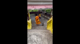Monkey pesters Buddhist monk for his food