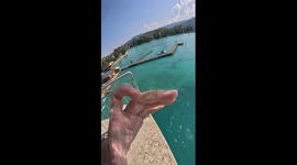 Exclusive- Daring dive at Austria's stunning Attersee