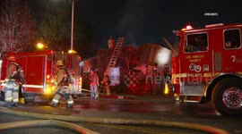 US, Los Angeles: West Hollywood Dog Rescued in Residential Fire