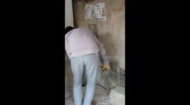 Huge 13-foot-long python dragged out of residential area in India