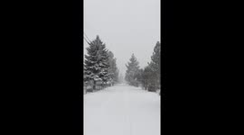 An intense wind storm  brought some snow in San Bernardino Mountains, California