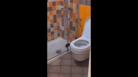 Toilet Pukes Dark Water