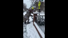 My friend decided to make clearing the sidewalks a fun event for everyone