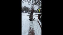 Making the neighborhood more fun when clearing the sidewalk during a snow storm