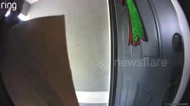 Delivery Man Smacks Head On Hanging Christmas Bells