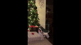 Cat In Christmas Tree Costume