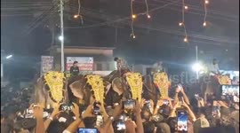 Chaos at BP Angadi Mosque Festival: Elephant Rampage Leaves 24 Injured