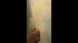 Trying to fight the fire above sunset blvd with a garden hose and then a police officer shows up to evacuate me.
