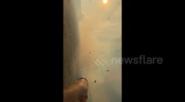 Exclusive- California resident fights backyard blaze as Santa Ana winds fuel fires