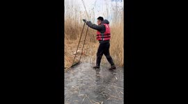 Winter reed harvesting on Baiyangdian’s frozen waters in China