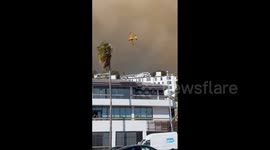 US: Palisades Fire Forces Thousands To Evacuate As State Of Emergency Declared 15