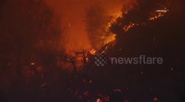 US, Los Angeles: Pasadena Overnight Eaton Fire Burns Medical Clinic Building Part 2
