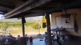House damaged by rampaging wild bull in rural Thailand