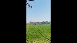 Pakistan Air Force training jet crashes killing pilot