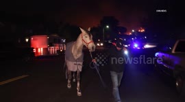 US, Los Angeles: Sylmar Hurst Fire Burns Near Neighborhoods Part 4