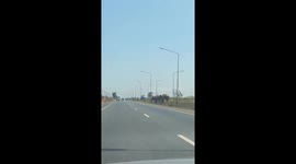 Two elephants stop cars to calmly walk across road
