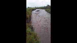 A dog is trapped in a river that is currently flooded with cold lava in Indonesia