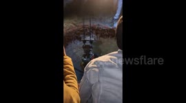 India: A bull fell into a well in Ghaziabad's Noorpur village, was pulled out with the help of a crane after several hours