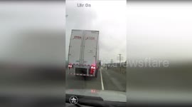 US: OSP Trooper Rescues Escaped Cow After Wild Chase on I-84