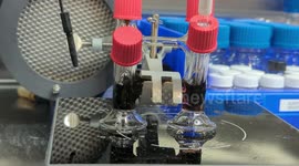US: Northwestern Researchers Develop Groundbreaking Green Battery Technology