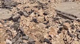 Gaza death toll passes 45,900 as Israel kills 51 more Palestinians