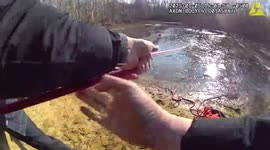 US: Woman and Two Dogs Rescued from Freezing Timber Creek