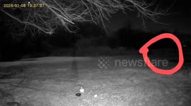 Ghost orbs and and weird .