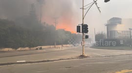 California Wildfires 2025: Palisades Fire