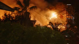 US, Los Angeles: Studio City Dog Saved From House Fire Part 2