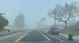 Morning Drive during foggy winter in California