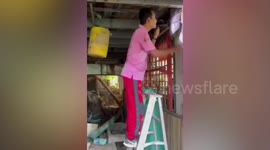 Snake catcher in critical condition after being bitten by cobra