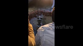 Stray bull rescued by crane from a deep well in India