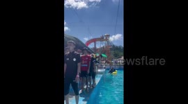 Man jumps into the wrong side while his friends follow pool trend