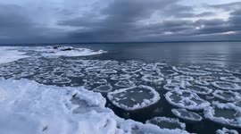 Canada: Pancake Ice Floats On Lake Erie, Ontario