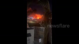 US: Sunset Fire Ignites In Hollywood Hills, Triggering Mandatory Evacuation Orders 7