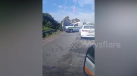 Swarm of killer bees save overturned lorry carrying beer from looters