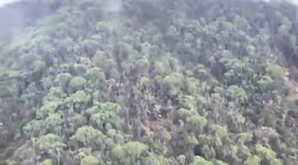 Missing plane with 10 onboard is found crashed in forest in Colombia