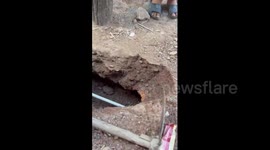 Residents rescue puppy trapped underground outside home
