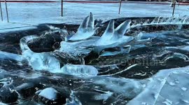 Stunning 58-metre-long ice sculpture of dragon stuns locals in China