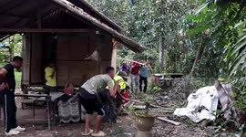 Neighbours gather to watch 13ft king cobra caught outside home