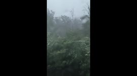 Storm warning, safety level, Hurricane, strong wind, rain, bad weather.