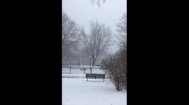 This scene captures a serene winter day in a park. Large snowflakes gently fall from a gray, overcast sky, creating a soft, tranquil atmosphere. Bare trees stand tall, their branches silhouetted against the snowy backdrop. A wooden bench sits in the foreg