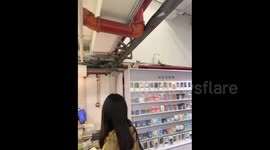China: A Cat Walks Under the Ceiling