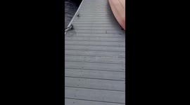 Santa Cruz Harbor Breaks Apart