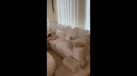 Pup Too Excited to Hide Under Blanket