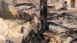 California Wildfires 2025: Palisades Fire aftermath